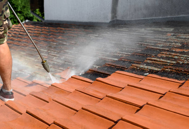 Best Exterior Home Cleaning  in Walkerton, IN