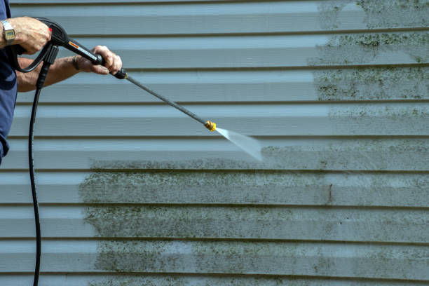 Best Roof Pressure Washing  in Walkerton, IN