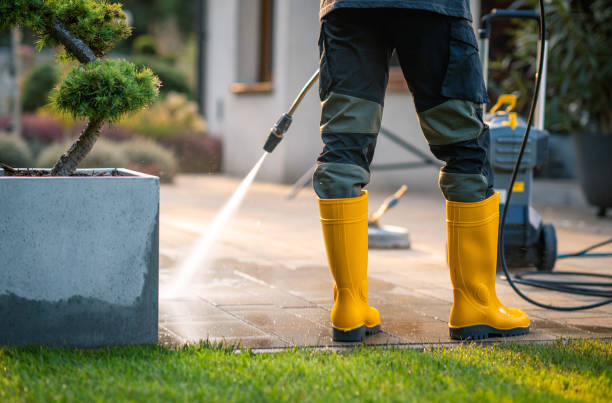 Best Residential Pressure Washing Services  in Walkerton, IN
